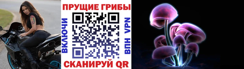 Галлюциногенные грибы ЛСД где можно купить Устюжна